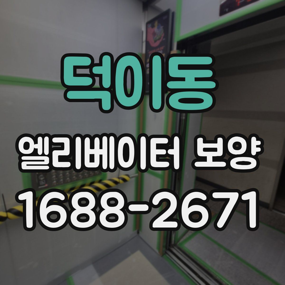 덕이동 엘리베이터 보양