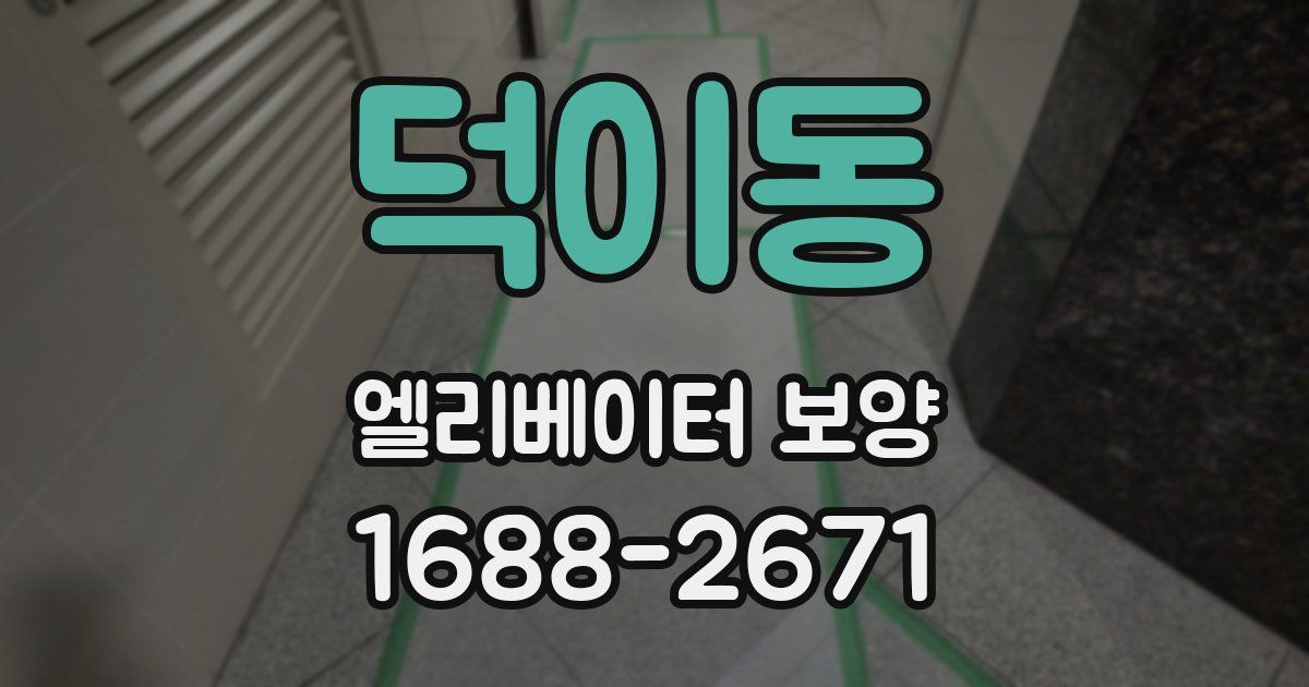 덕이동 엘리베이터 보양