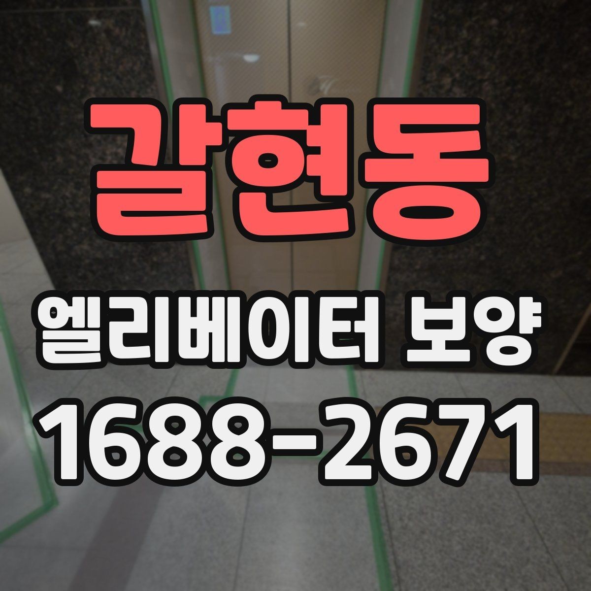 갈현동 엘리베이터 보양 설치와 철거의 균형을 맞추는 법