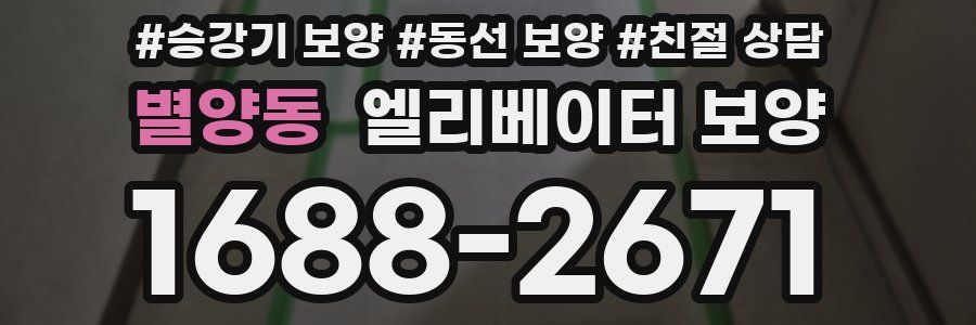 별양동 엘리베이터 보양