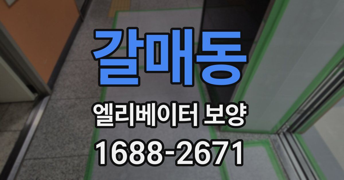 갈매동 엘리베이터 보양