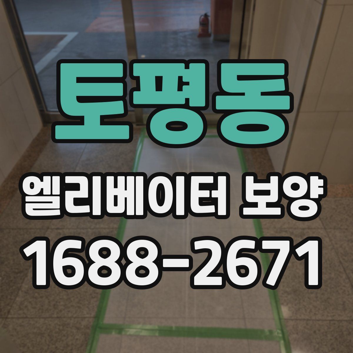 토평동 엘리베이터 보양