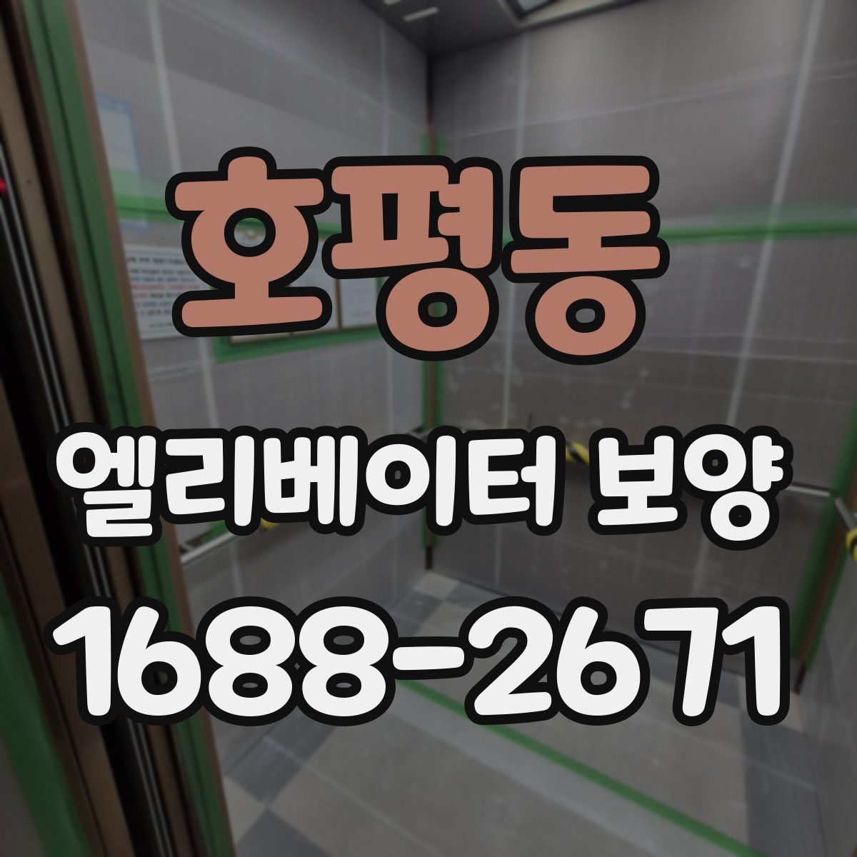 호평동 엘리베이터 보양