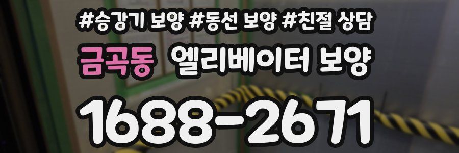 금곡동 엘리베이터 보양