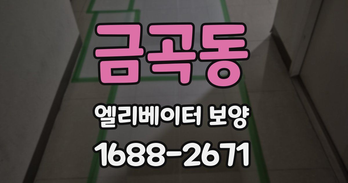금곡동 엘리베이터 보양