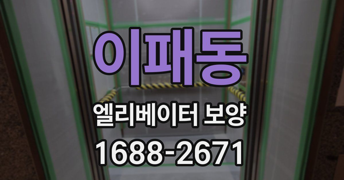 이패동 엘리베이터 보양