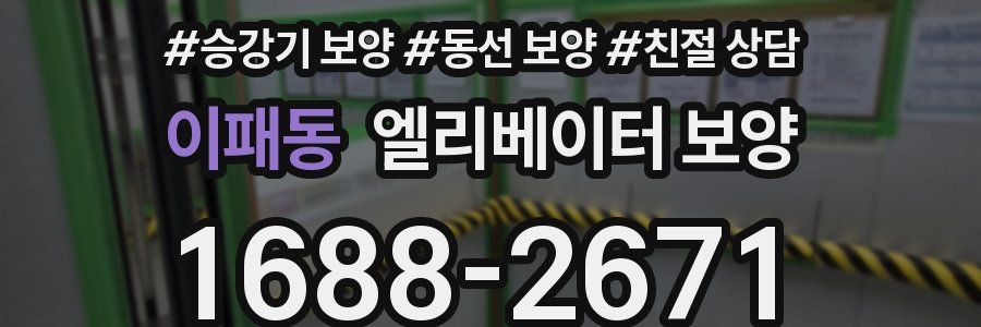 이패동 엘리베이터 보양