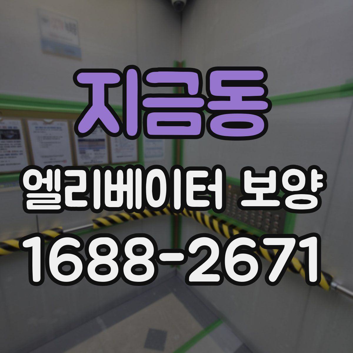 지금동 엘리베이터 보양