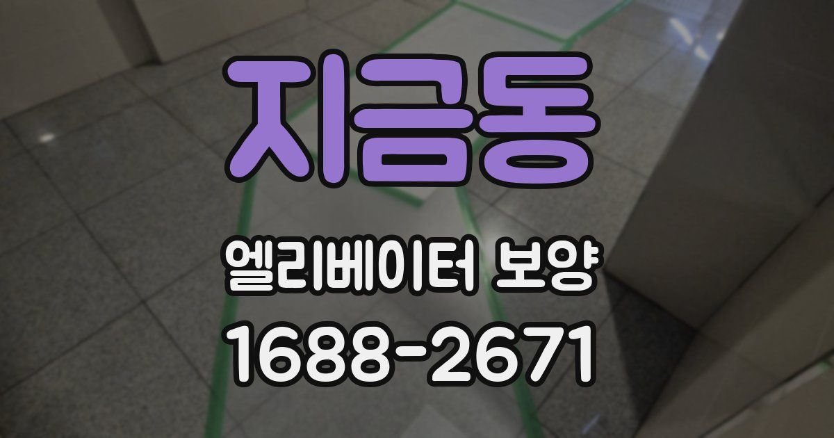 지금동 엘리베이터 보양