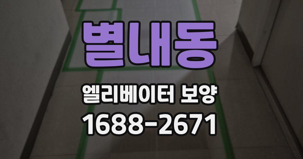 별내동 엘리베이터 보양