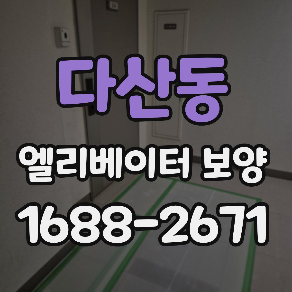다산동 엘리베이터 보양