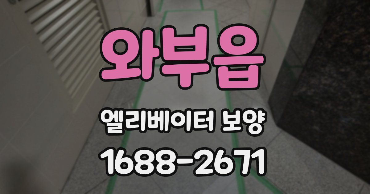 와부읍 엘리베이터 보양