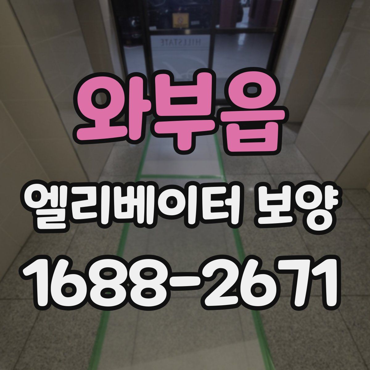 와부읍 엘리베이터 보양