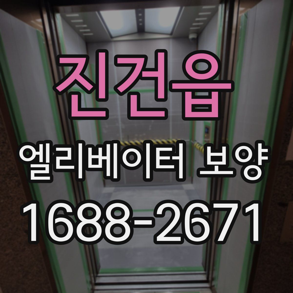 진건읍 엘리베이터 보양