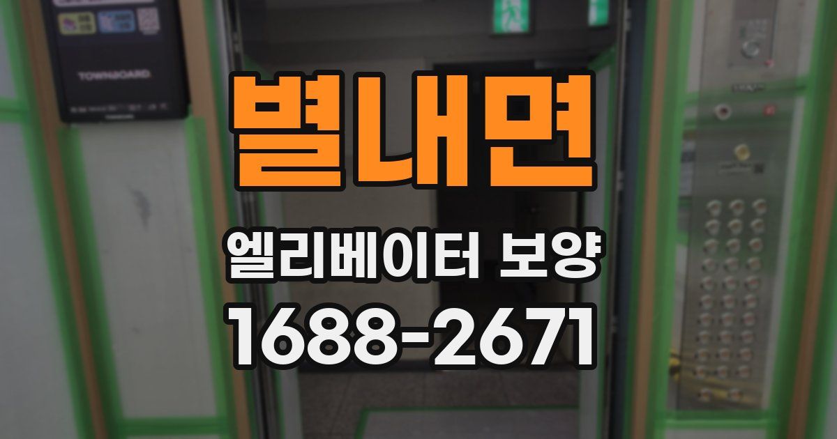 별내면 엘리베이터 보양