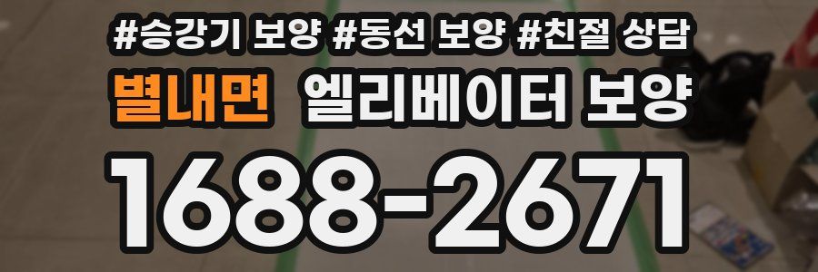 별내면 엘리베이터 보양