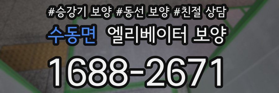 수동면 엘리베이터 보양