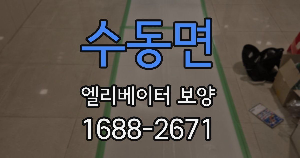 수동면 엘리베이터 보양