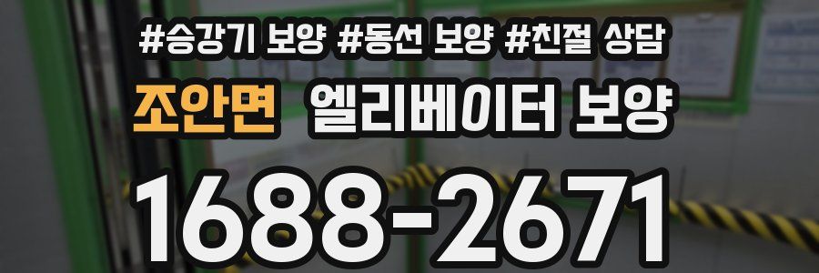 조안면 엘리베이터 보양