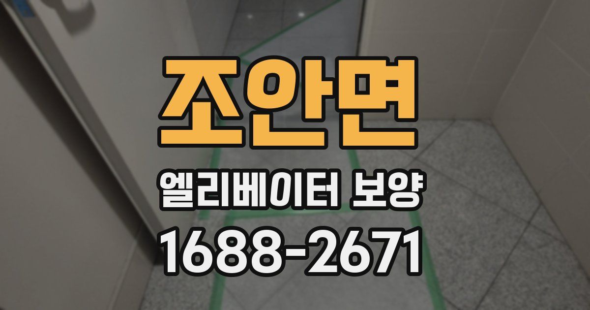 조안면 엘리베이터 보양