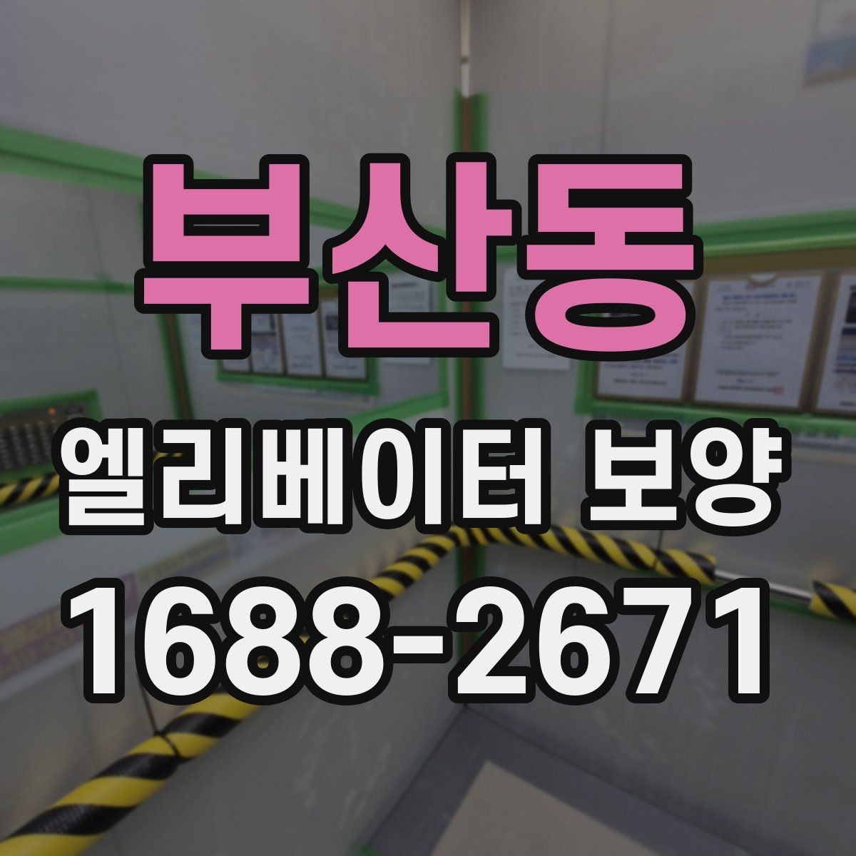 부산동 엘리베이터 보양 비용과 자재 선택의 관계