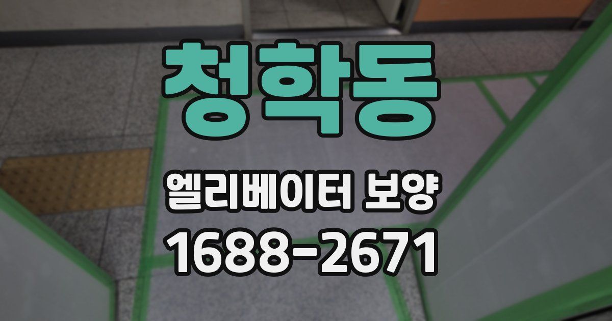 청학동 엘리베이터 보양