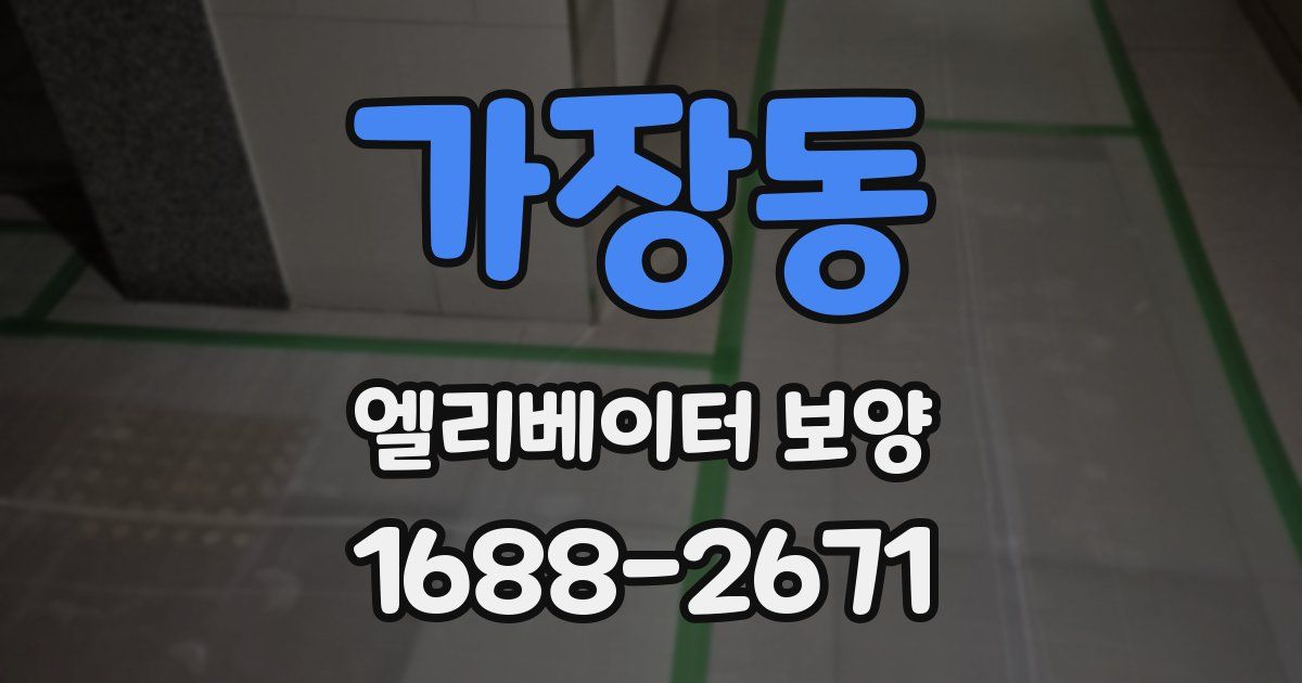가장동 엘리베이터 보양