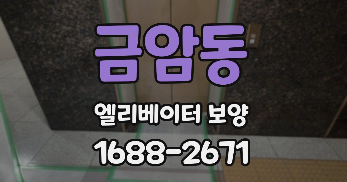 금암동 엘리베이터 보양