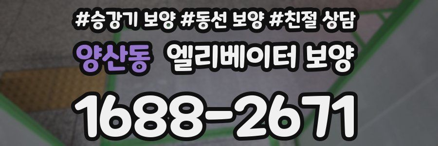 양산동 엘리베이터 보양