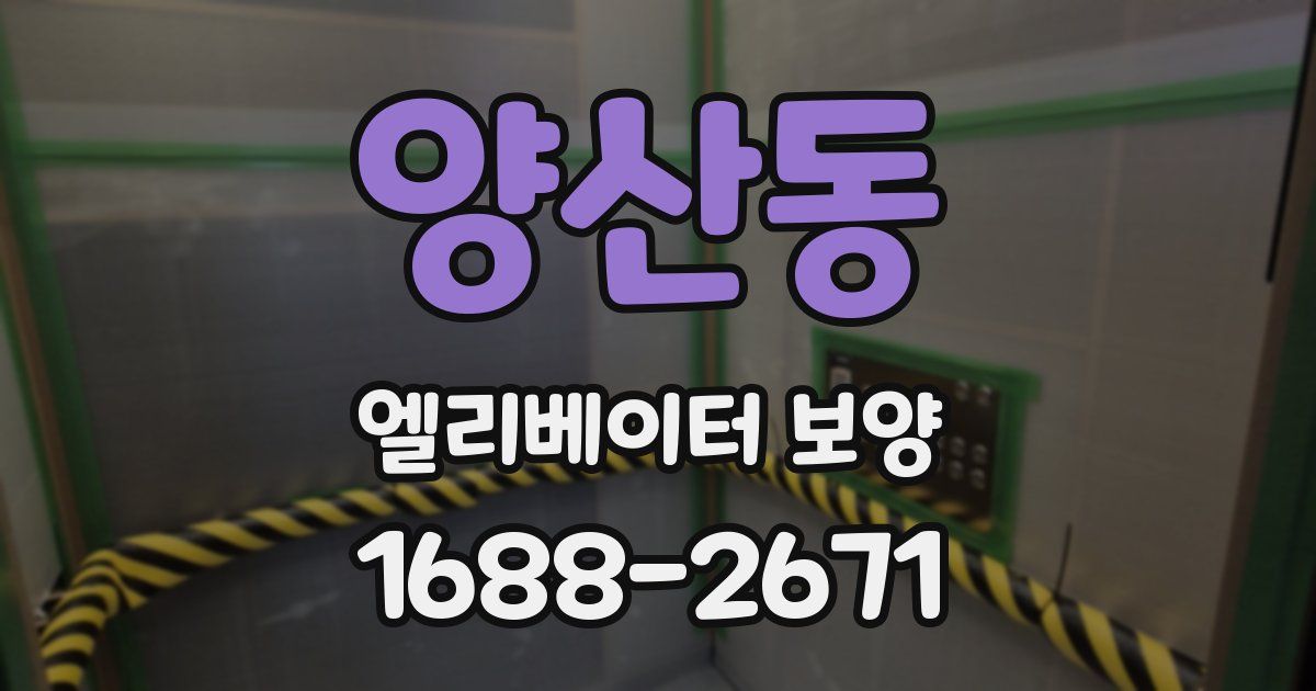 양산동 엘리베이터 보양