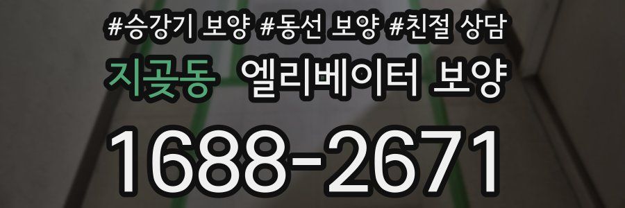지곶동 엘리베이터 보양