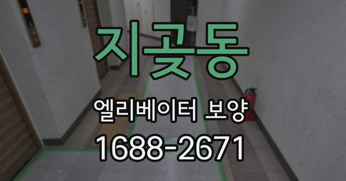 지곶동 엘리베이터 보양