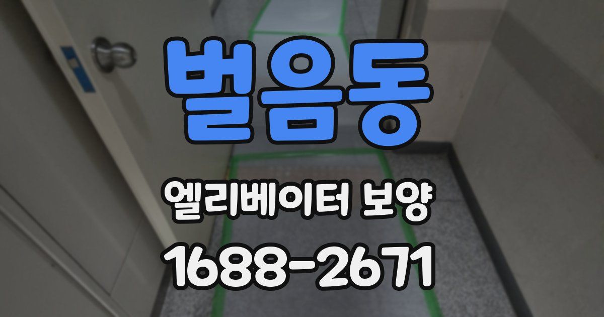 벌음동 엘리베이터 보양