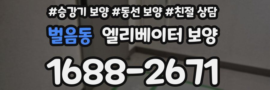 벌음동 엘리베이터 보양
