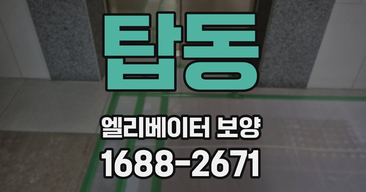 탑동 엘리베이터 보양
