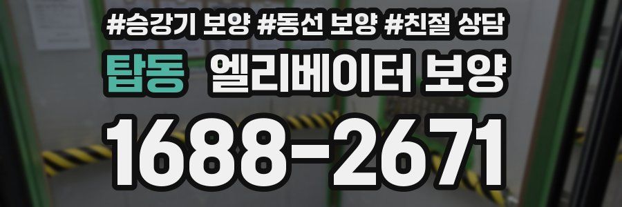 탑동 엘리베이터 보양