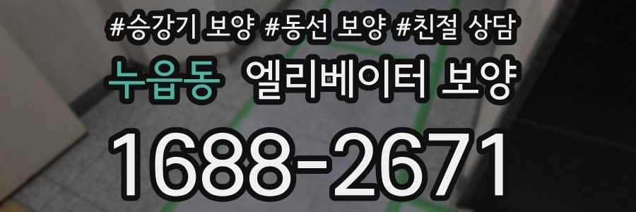 누읍동 엘리베이터 보양
