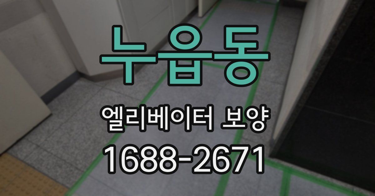 누읍동 엘리베이터 보양