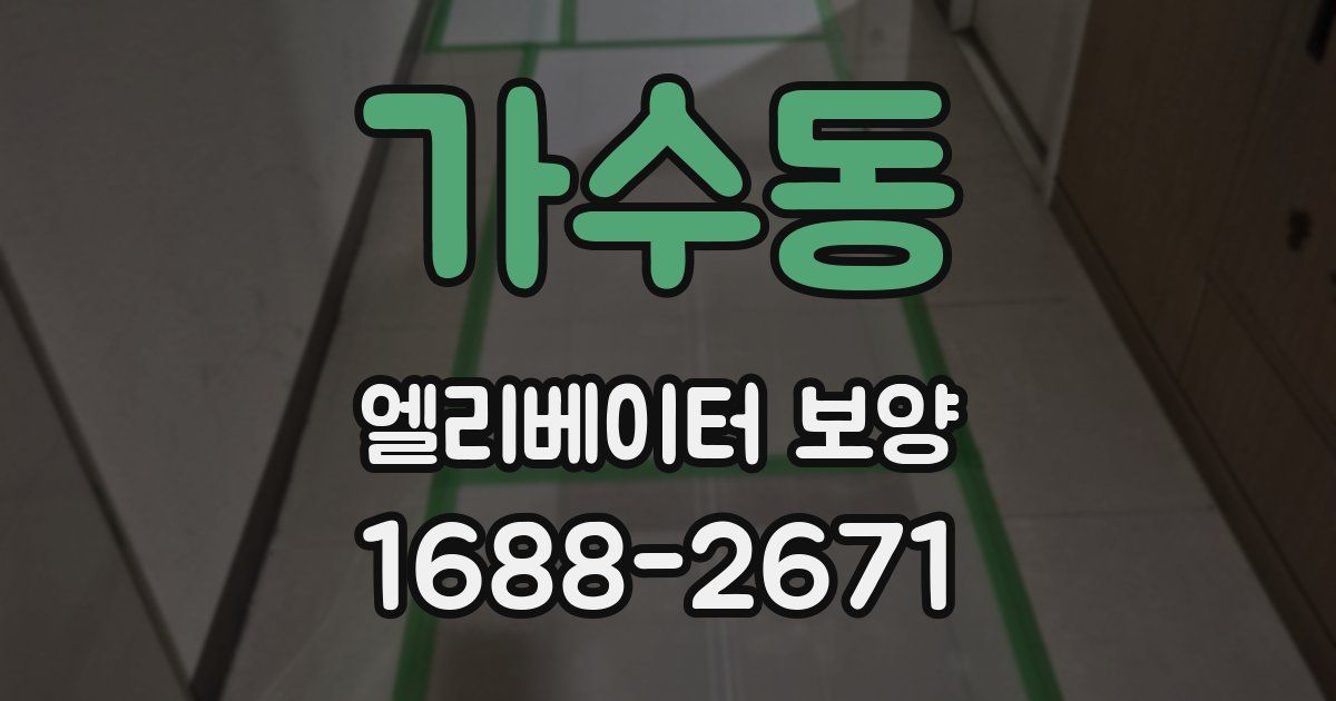 가수동 엘리베이터 보양