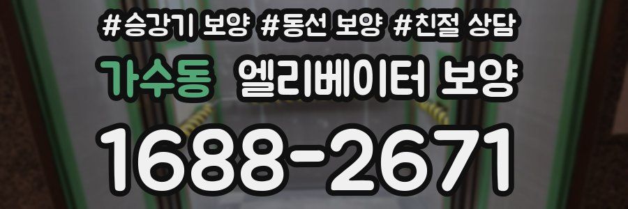가수동 엘리베이터 보양