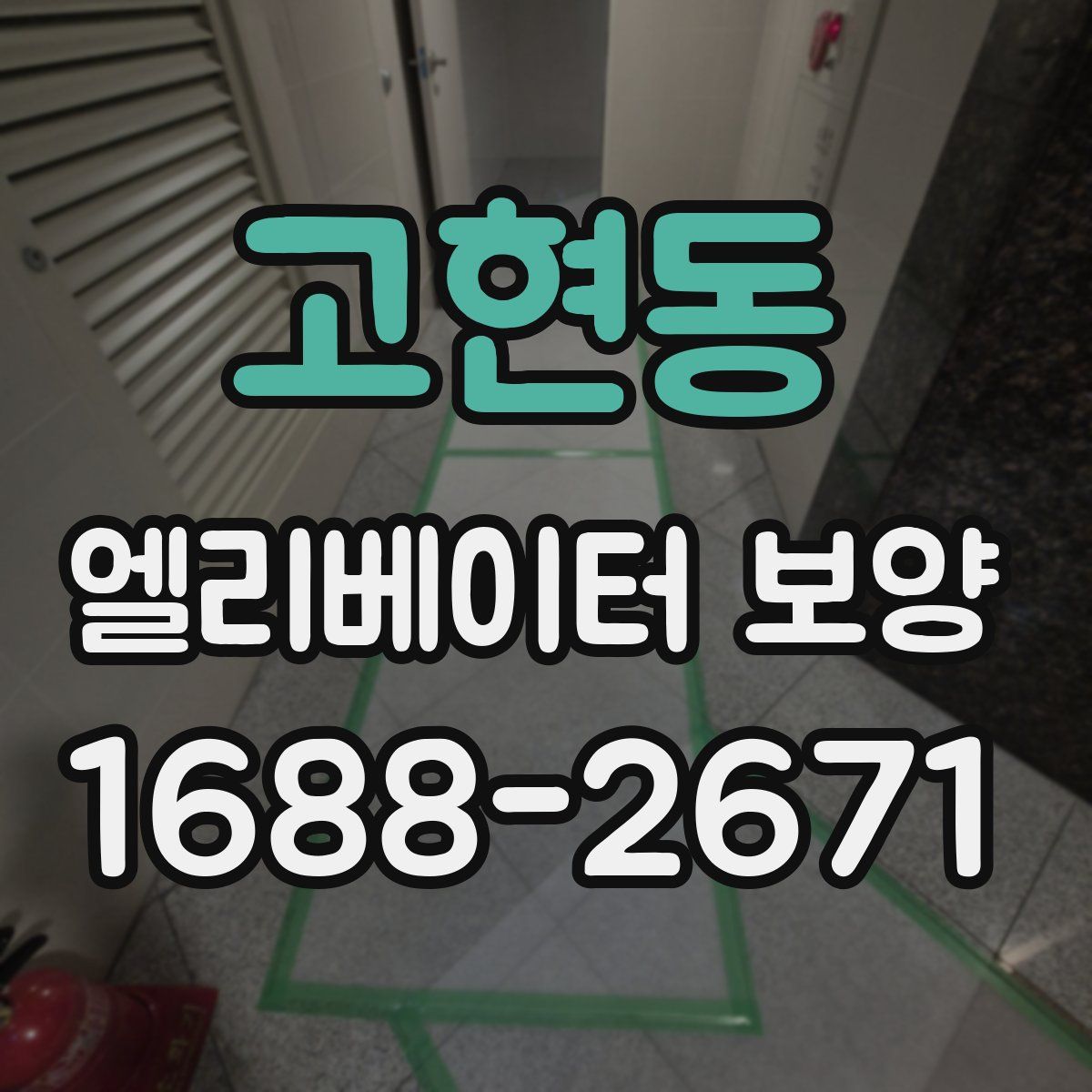 고현동 엘리베이터 보양