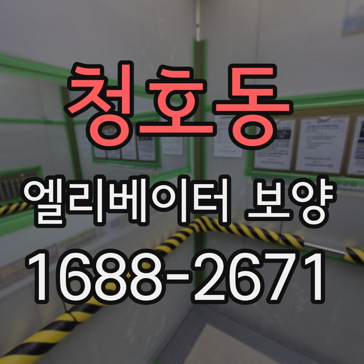 청호동 엘리베이터 보양