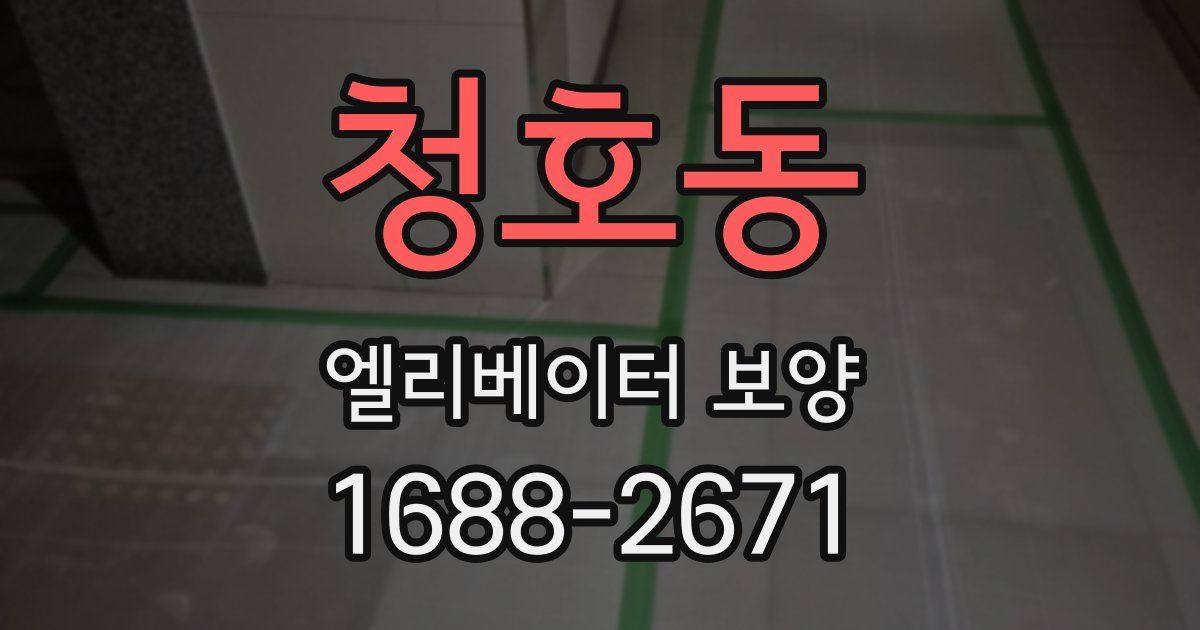 청호동 엘리베이터 보양