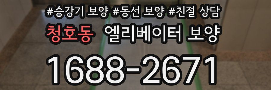 청호동 엘리베이터 보양