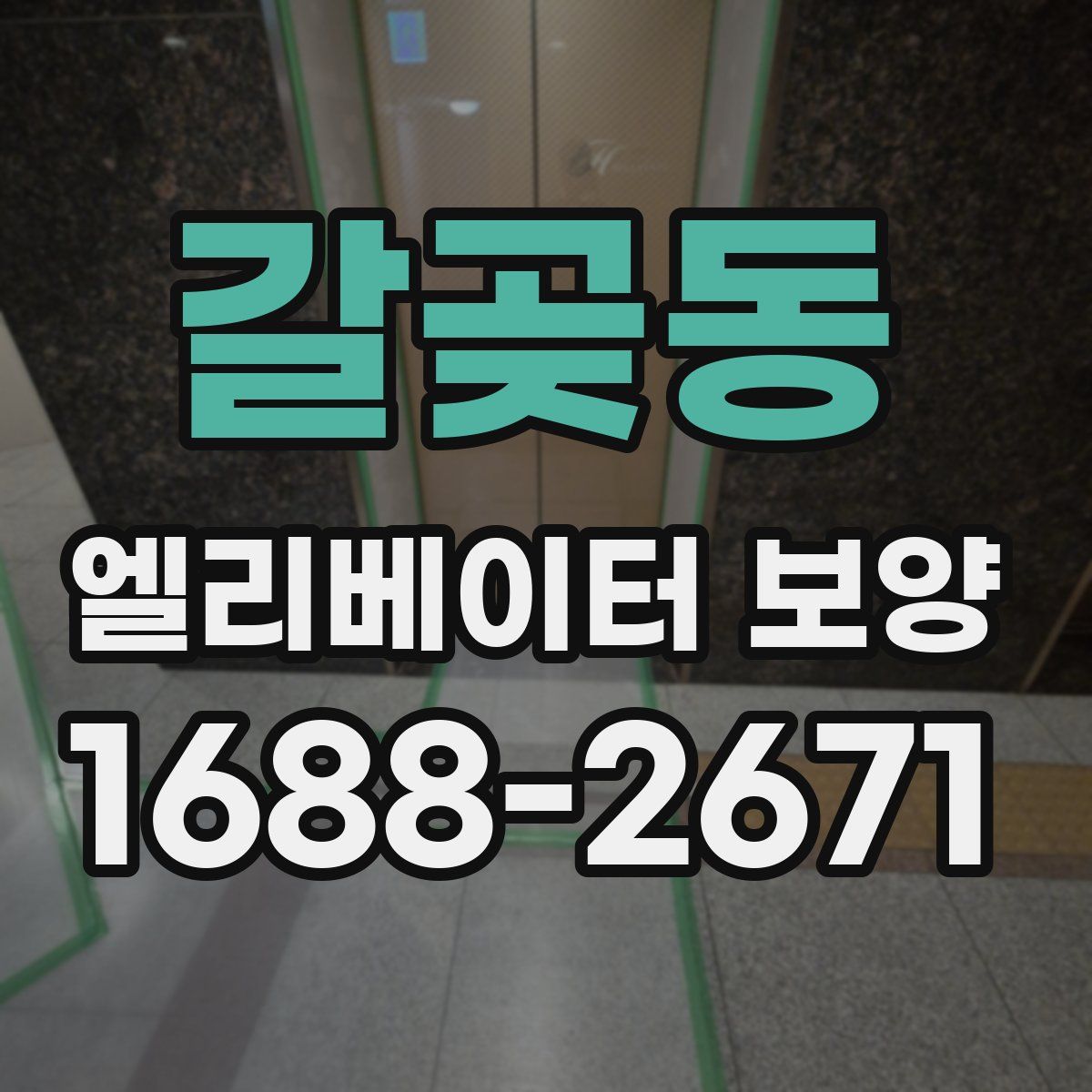 갈곶동 엘리베이터 보양