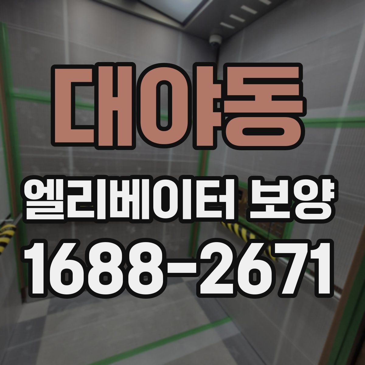 대야동 엘리베이터 보양