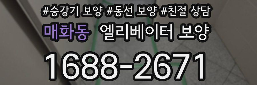 매화동 엘리베이터 보양