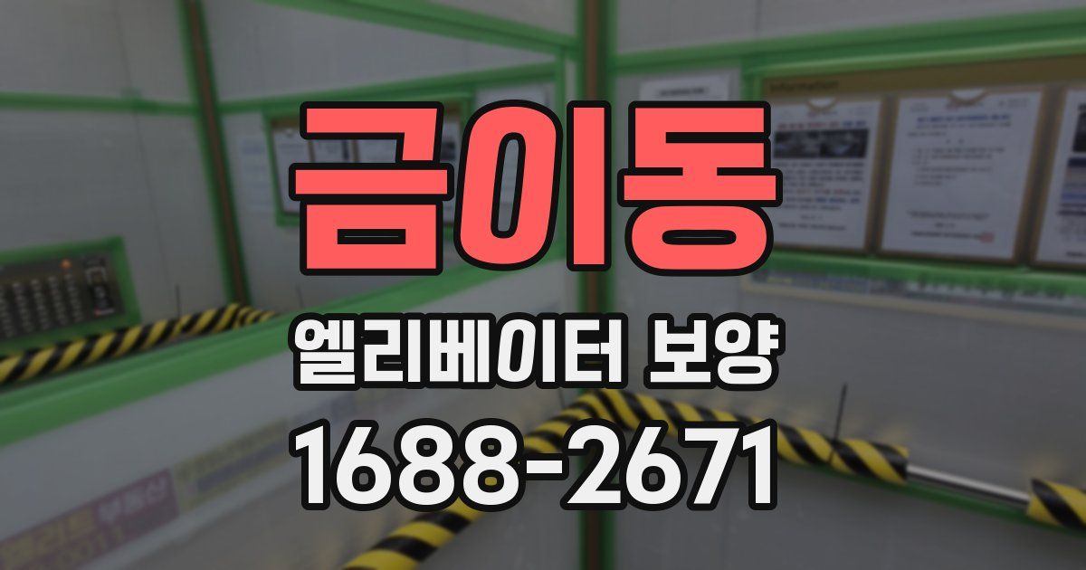 금이동 엘리베이터 보양