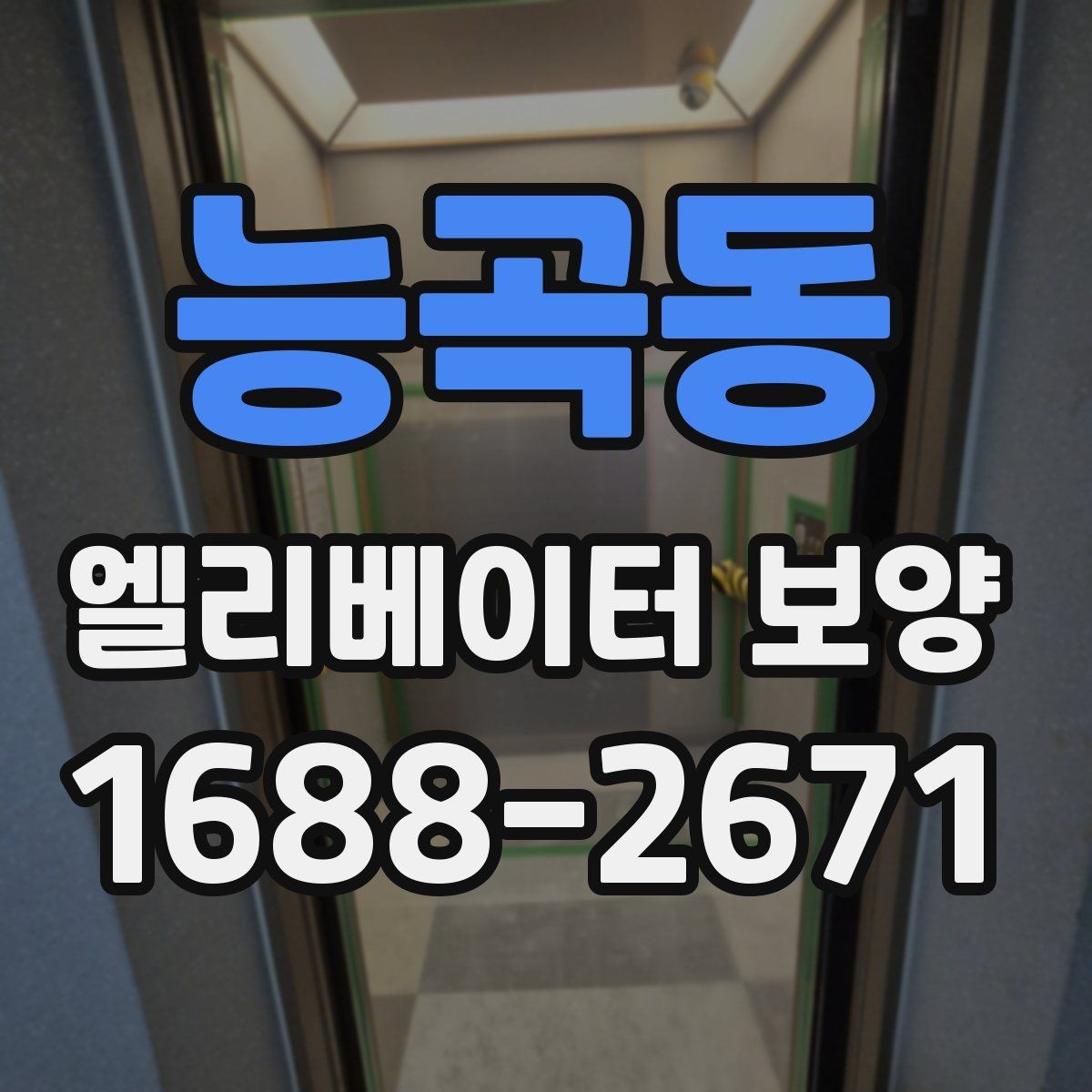 능곡동 엘리베이터 보양 현장별 맞춤 적용 사례