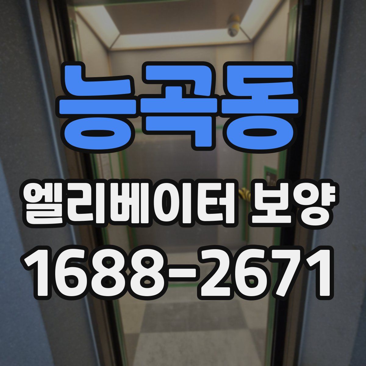 능곡동 엘리베이터 보양